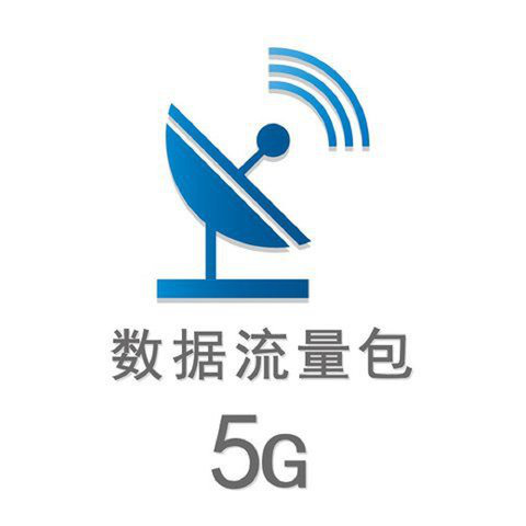 5G数据流量包(次月生效） 