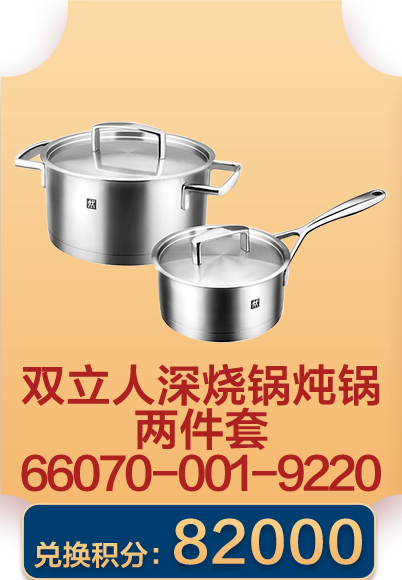 双立人深烧锅炖锅两件套 66070-001-9220